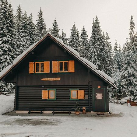 Chalet Trzinka Goreljek Kültér fotó
